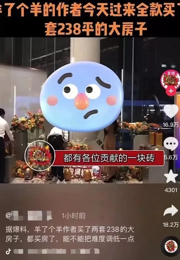 羊了个羊：我没有，不是我，你别瞎说啊