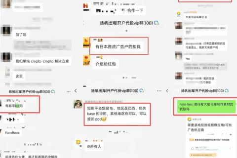 【私域神器双11会员狂欢节】你的出海人脉&合作破局点，都在这了！