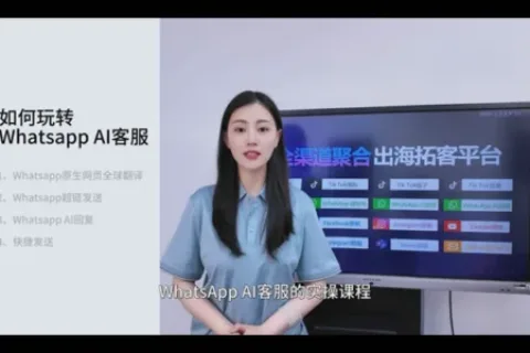 WhatsApp AI自动化客服、24小时自动回复、自动翻译