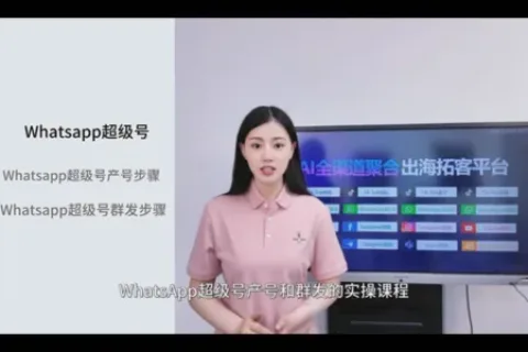 WhatsApp无限生产超级号、每日群发数百条陌生消息