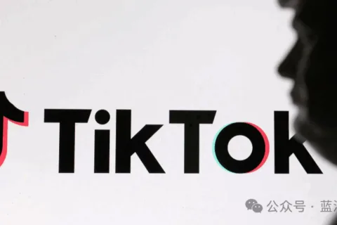 TikTok终于赢了一次！欧盟首次败诉！