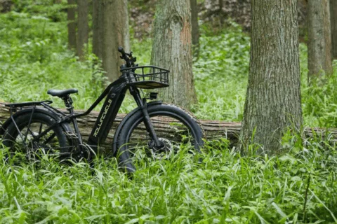 没有千万营销费，也能突围北美：一家新锐E-bike品牌的“野蛮生长”密码丨对话创始人