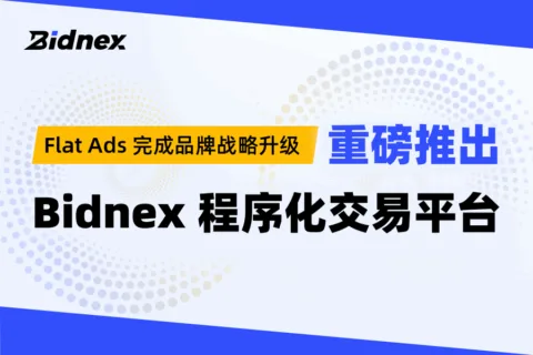 对话Bidnex CEO 林啸：Flat Ads 品牌升级，推出新一代程序化广告平台Bidnex，赋能全球增长