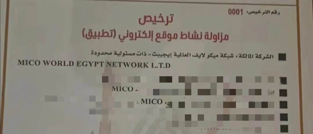 独家消息：埃及要求社交产品须持“版号”上线，恐封禁无牌照APP