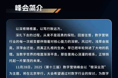 2025（第十三届）数字营销峰会完整议程公布（含嘉宾阵容）| 重磅