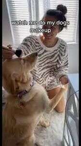 单话题破千亿曝光！TikTok上的小萌物撬动大商机？