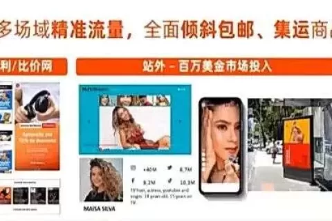 2020年双11，速卖通在巴西、波兰、韩国和中东都做了哪些部署？