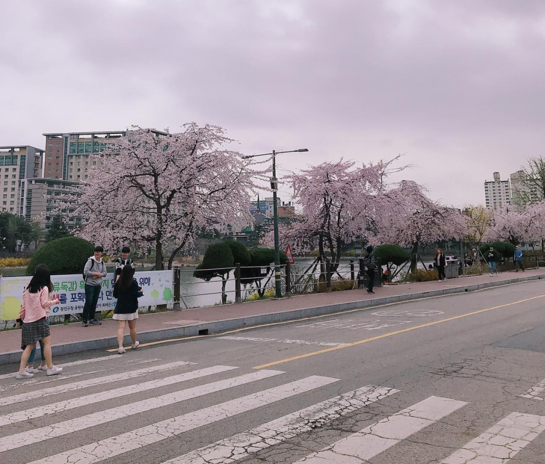 那年今日，出海人的高考、求学和人生选择