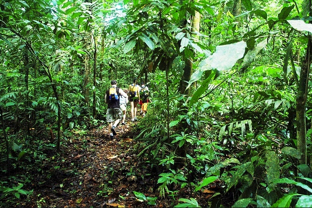 出海社交上路难？避坑指南建议收藏
