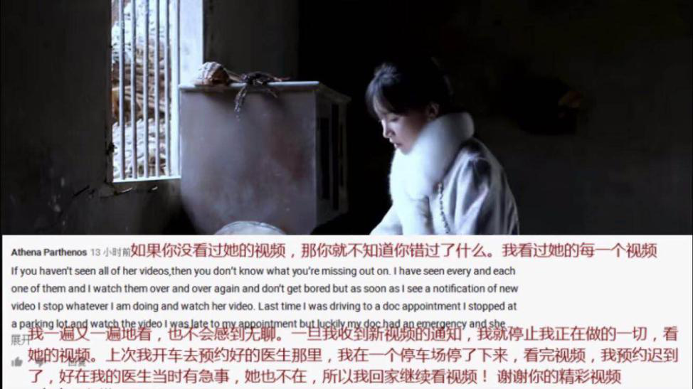 比罗永浩还火，中国网红“李子柒们”的大航海时代