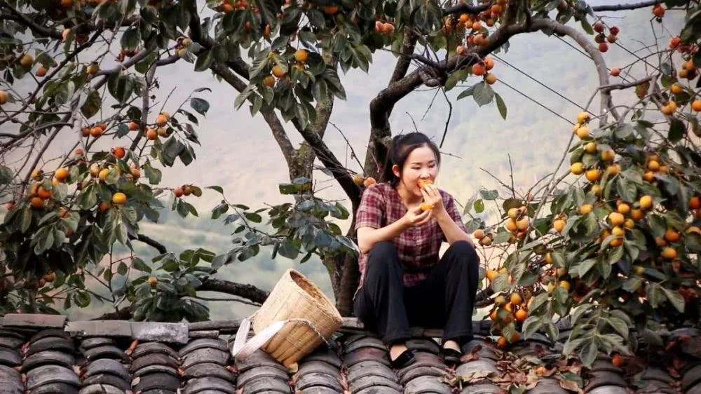 比罗永浩还火，中国网红“李子柒们”的大航海时代