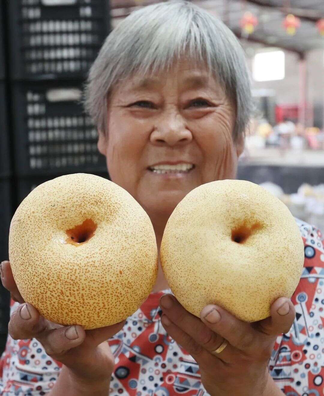 迭代：一颗砀山梨背后的产业竞争格局