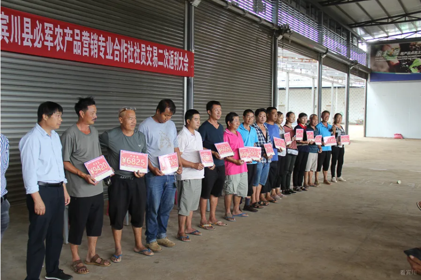 又是一年毕业季，这位97年的大理姑娘返乡卖大蒜，一天卖出50吨