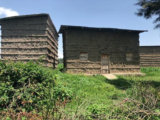 黄正骊：工业园能否帮助埃塞俄比亚实现工业化和城市化？