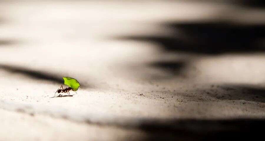 真不是钱的事？这四点，才是中小游戏厂商“心腹大患”