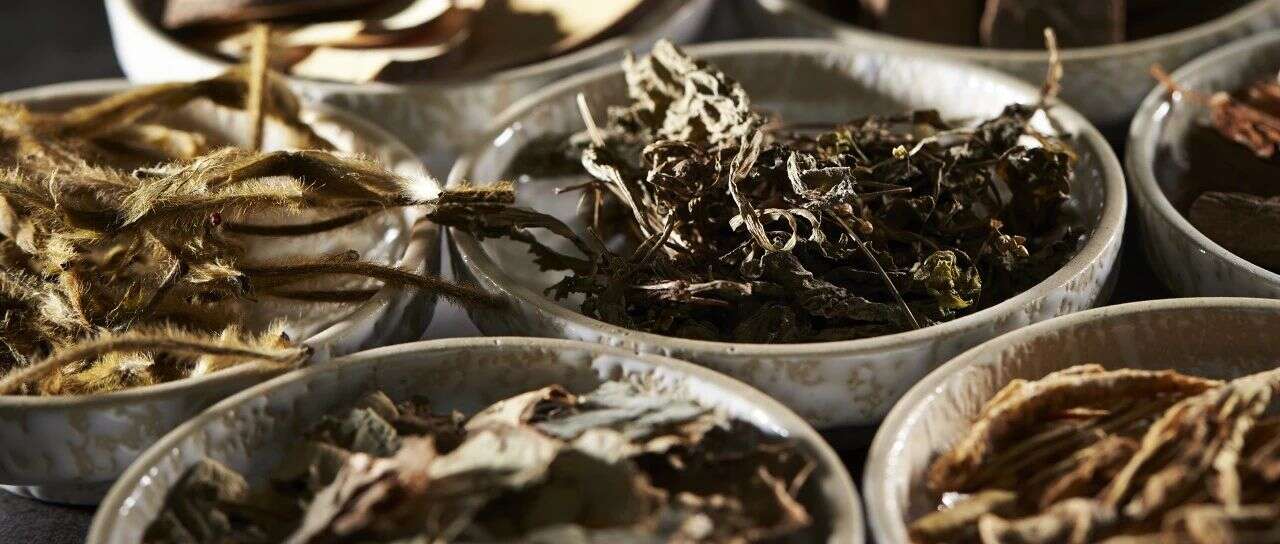 中药出海：勇敢者的“游戏”