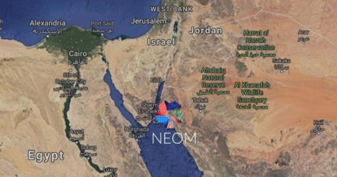 从石油到代码：中东的世纪转型