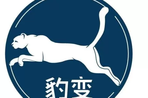 42块钱的「电子女友」，让宅男和A股一起上头