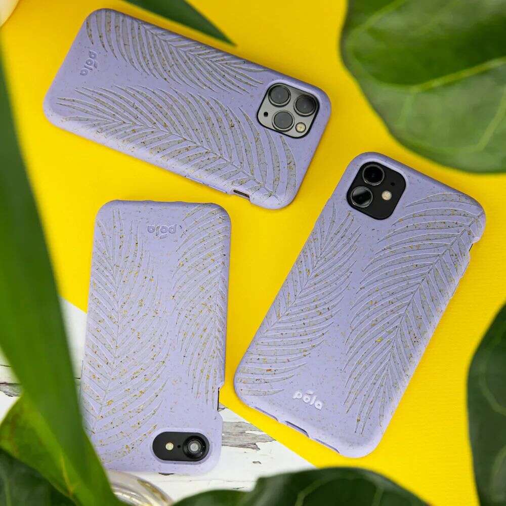 Jay-Z投资，Lady Gaga是粉丝，这家消费品公司宣战“上世纪最糟发明”