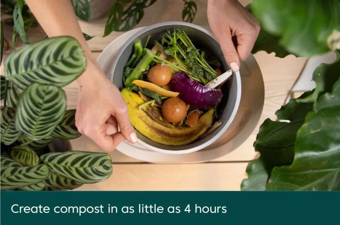 Jay-Z投资，Lady Gaga是粉丝，这家消费品公司宣战“上世纪最糟发明”