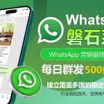 WhatsApp磐石系统