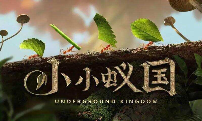 回首·2021丨美国手游市场盘点：除了《Free Fire》 这4款游戏值得把玩和学习