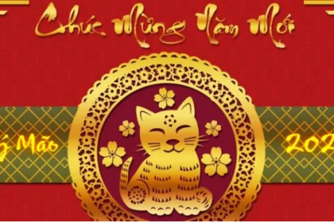 2023越南猫年热卖年货抢先看，花式营销卖家赚翻天！