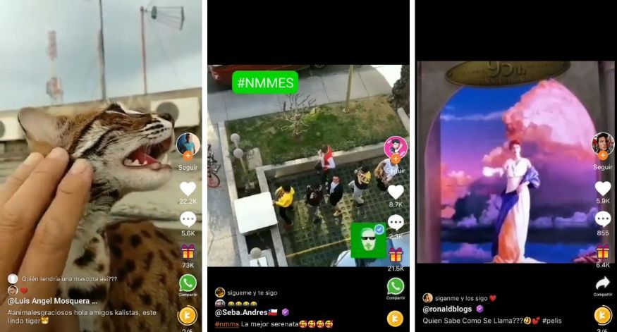 这个中国人，教会拉美老铁打赏