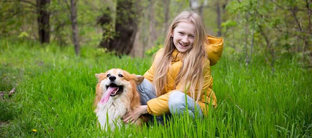 搜索量猛增7400%，150+店铺被起诉，美国这一类目“危”“机”四伏