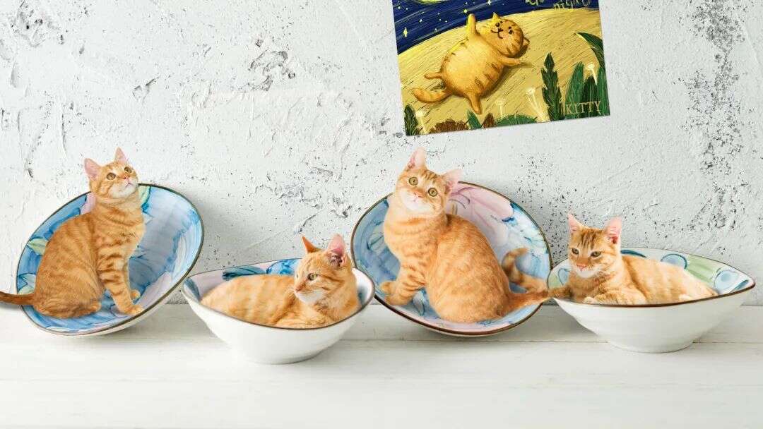 搜索量猛增7400%，150+店铺被起诉，美国这一类目“危”“机”四伏