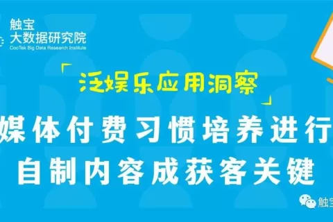 触宝大数据泛娱乐应用洞察|流媒体付费习惯培养进行时，自制内容成获客关键