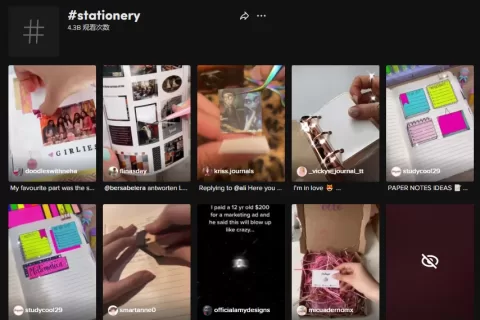 爆款文具走红TikTok，小卖靠品类年赚13万美元
