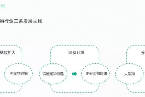 牵狗绳创收千万美金！WILD ONE如何打造网红宠物品牌？