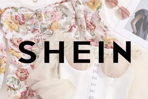 带群雁齐飞，SHEIN式品牌出海