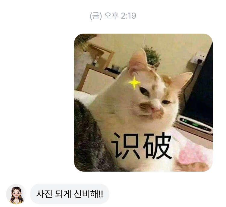 女团下岗！韩国AI美少女App「Nutty」 跃居总榜Top1