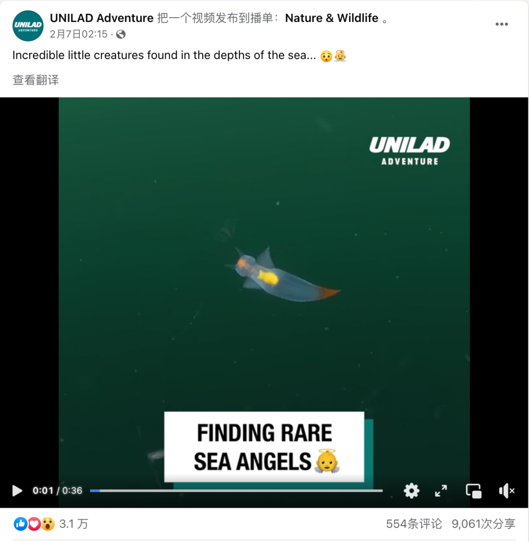 什么是海外社媒的多层传播？怎样用好海外社媒进行多层传播？这里有7条实操建议