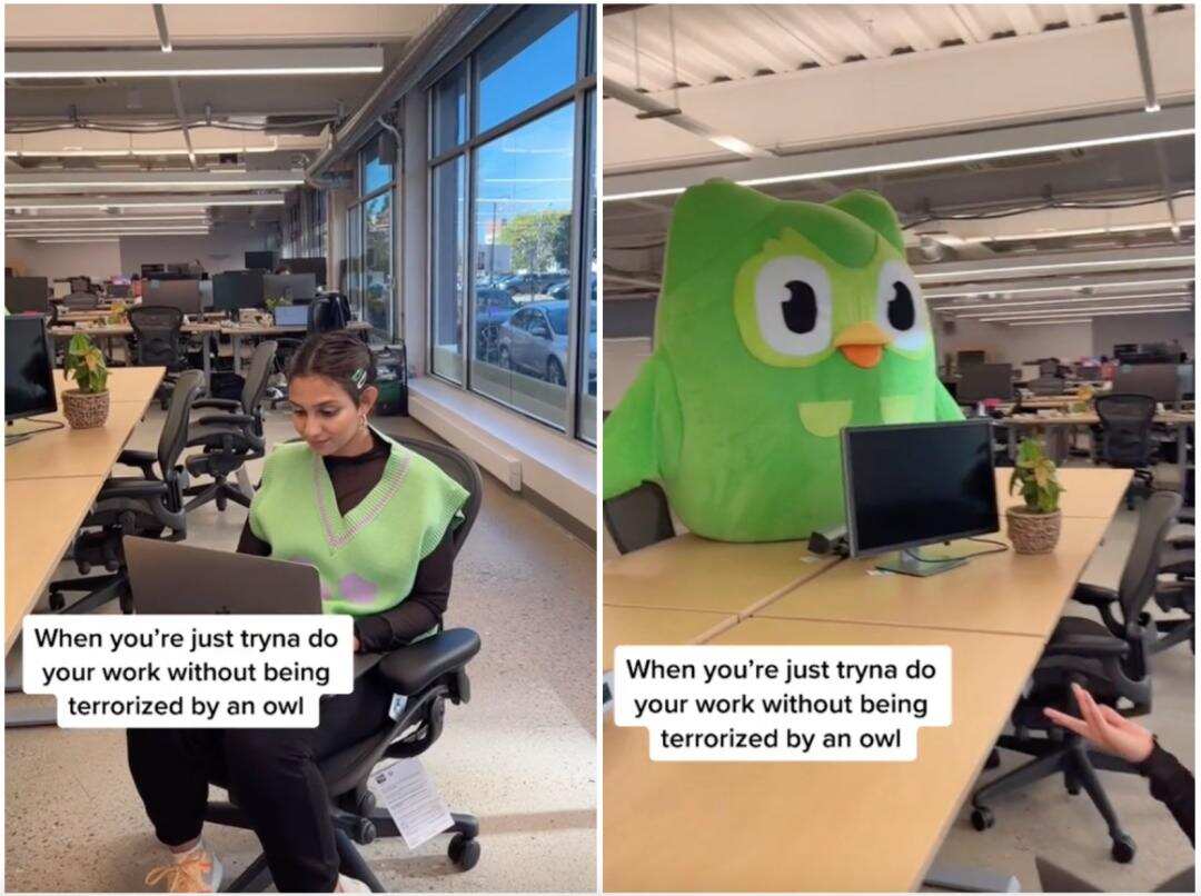 TikTok正在成为海外教育科技的营销阵地