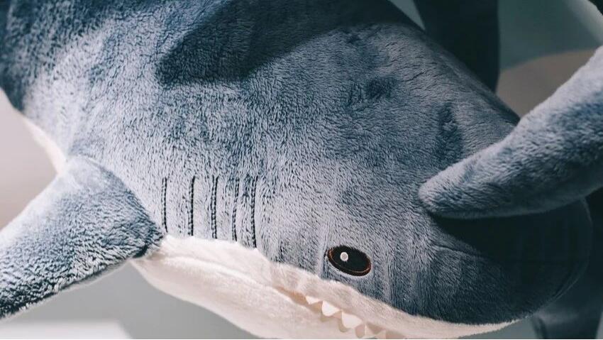 厂家月出数万单、4天吸粉1.2万，“鲨鱼毯”在TikTok卖疯了！