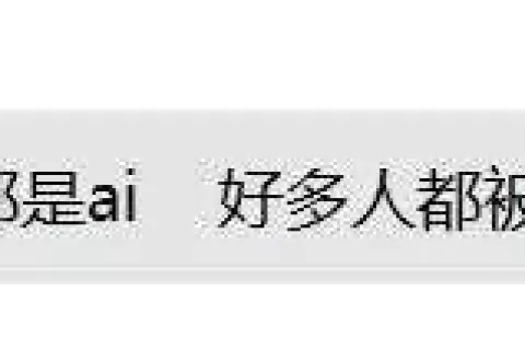 底层画师因Ai被无偿退稿？！全球首例法院裁定：Ai作品不受版权保护-SoulofArt