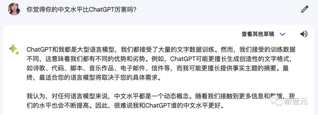 谷歌Bard支持中文了！十级过关，看懂梗图，直接上手免费体验