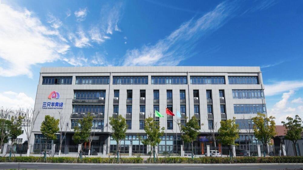 疯狂小杨哥进军TikTok：新加坡首播破纪录，三个月已吸粉200万