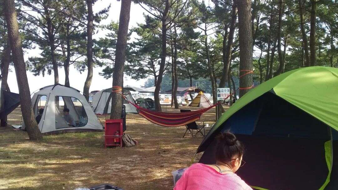 韩国露营类目高爆发！7万亿市场成出海新风口？