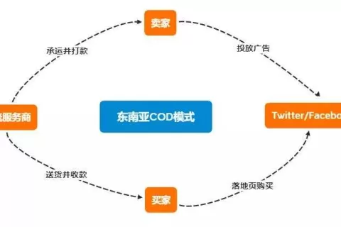 COD签收率低、海外仓收“保护费”？东南亚物流竟是……