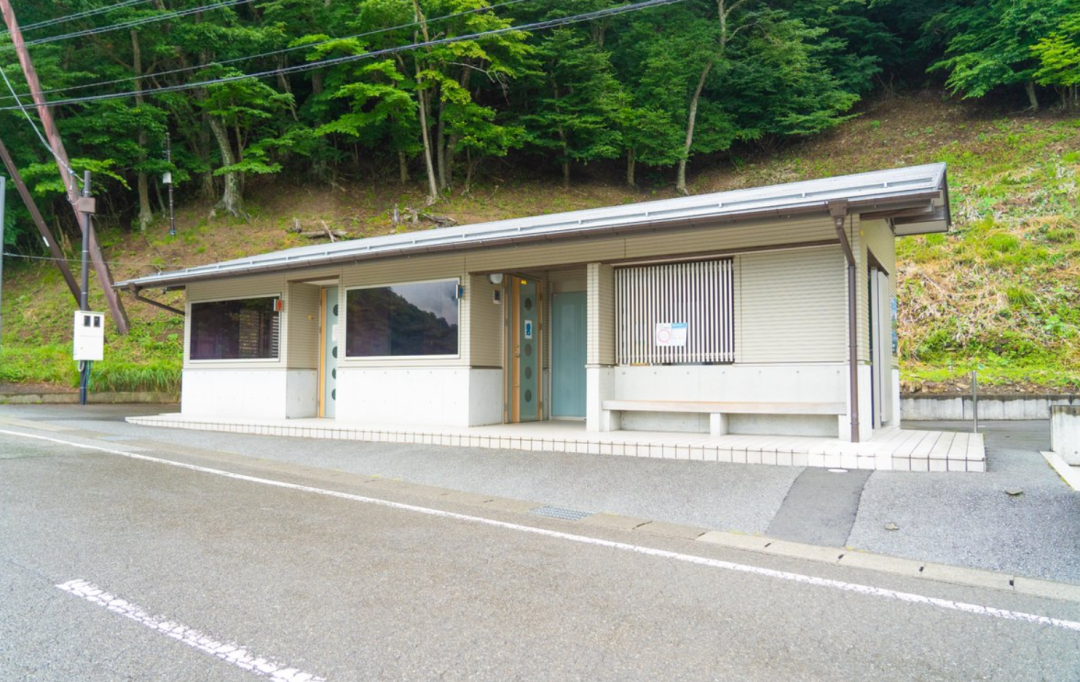 你需要用电子露营游戏来看风景吗？