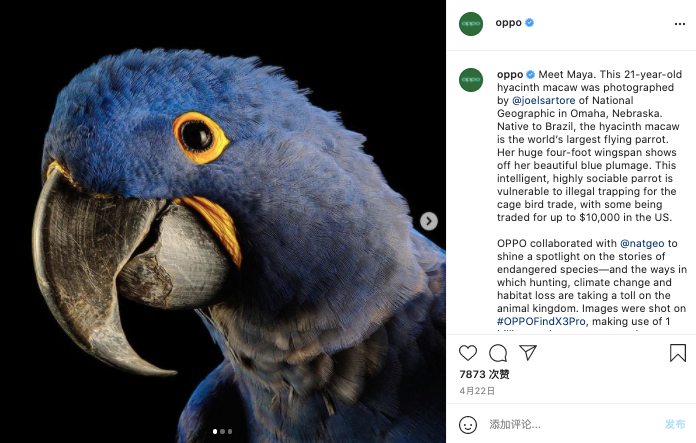 小米问鼎全球市场份额与社媒影响力第一，中国手机品牌出海社媒营销表现观察（2021Q2）