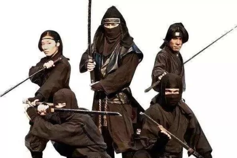 《忍者必须死》之后，老派题材如何再度发光？