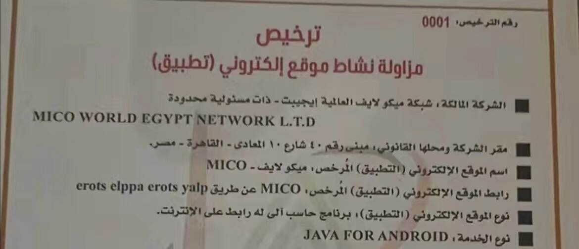 独家消息：埃及联合阿盟整顿海外社交产品，计划封禁无牌照APP