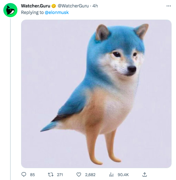 突发！推特图标变狗头？马斯克要做什么？