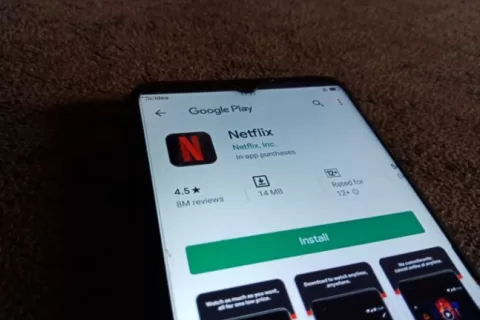 “网飞”Netflix在印度水土不服？市场探索任重道远