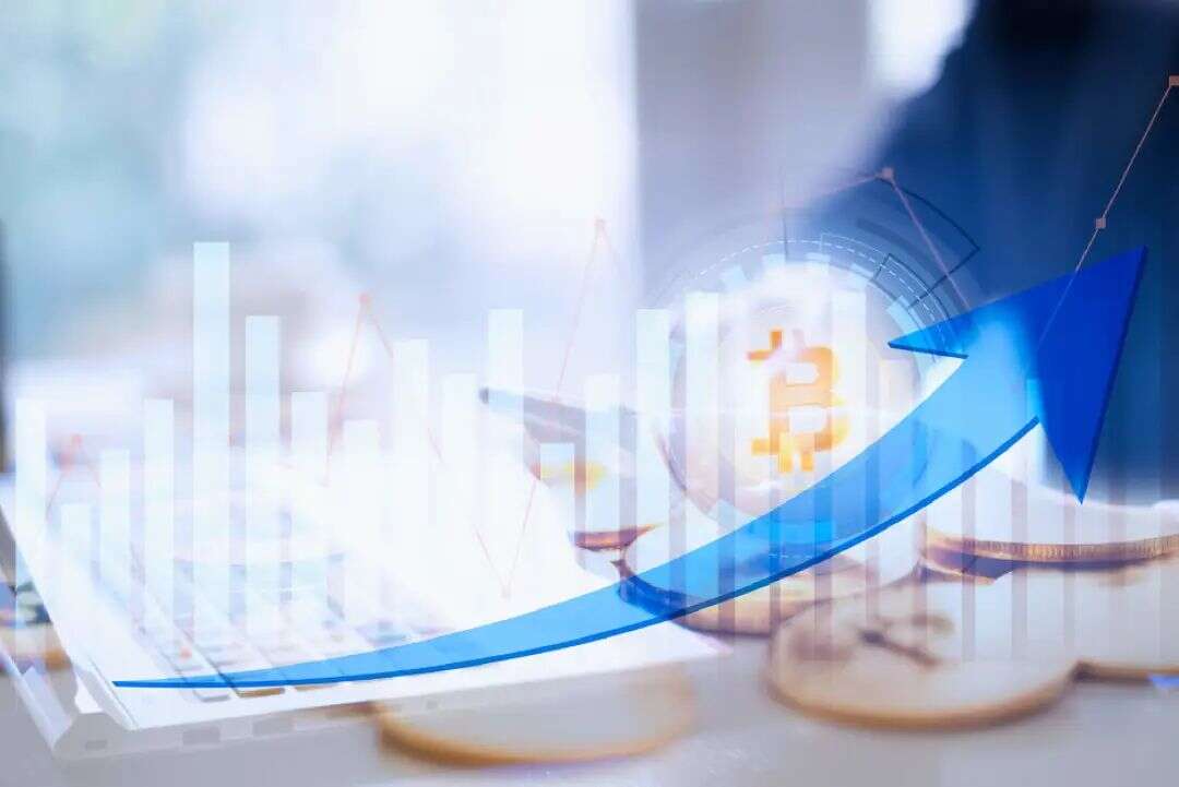 Temu大变脸，在家门口“吃瘪”|深度